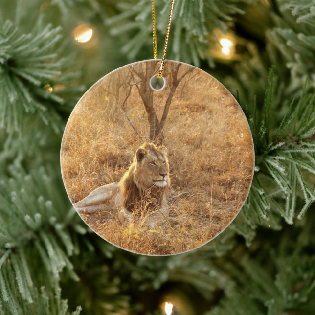 Ornamento De Cerâmica Leão (Árvore)