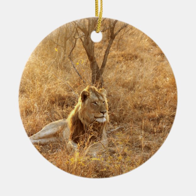 Ornamento De Cerâmica Leão (Frente)