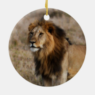 Ornamento De Cerâmica Leão africano na grama