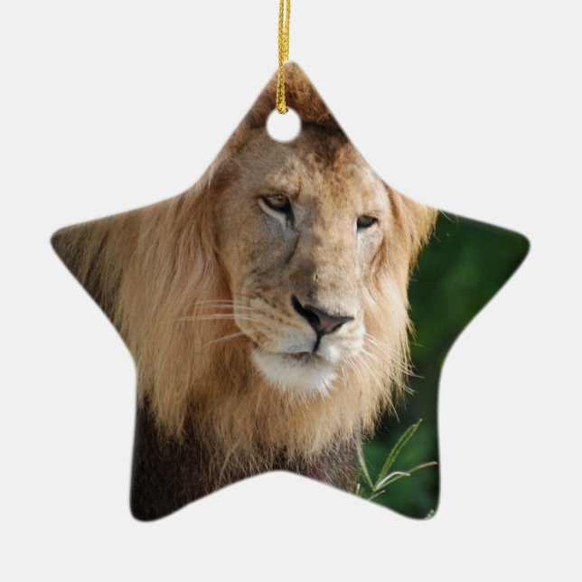 Ornamento De Cerâmica Leão Prowling (Frente)