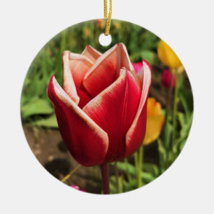 Ornamento De Cerâmica Leen Van Der Mark Tulip, Oregon