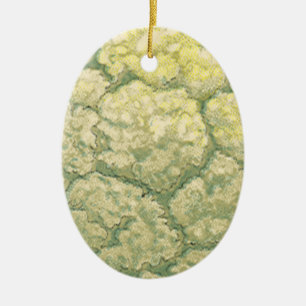 Ornamento De Cerâmica Legumes Vegetais Couve-Flor Comida Antiga