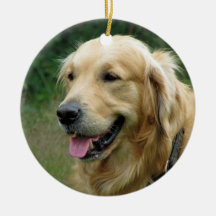 Lembrança do presente da foto do Natal do animal