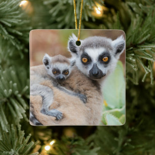 Ornamento De Cerâmica Lemur Baby de Alcance nas costas da mãe