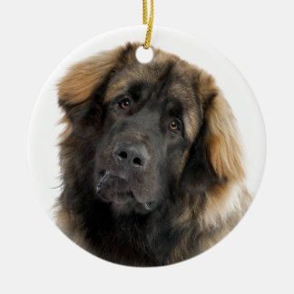 Ornamento De Cerâmica Leonberger