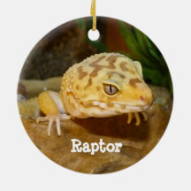 Leopard Personalizado Gecko Lizard