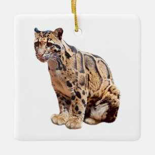 Ornamento De Cerâmica leopardo nebuloso fotografia selva grande gato ani