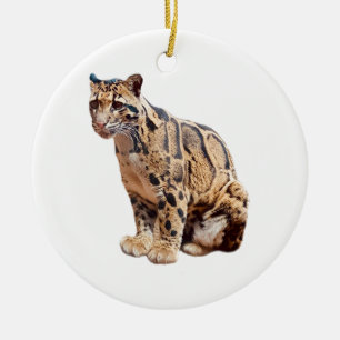 Ornamento De Cerâmica leopardo nebuloso fotografia selva grande gato ani
