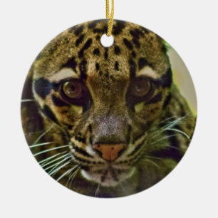 Ornamento De Cerâmica Leopardo nublado