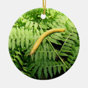 Ornamento De Cerâmica Lesma Banana em Samambaias I