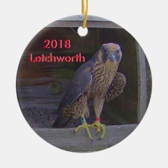 Ornamento De Cerâmica Letchworth Cerâmica para Ornamento 2018 (Frente)