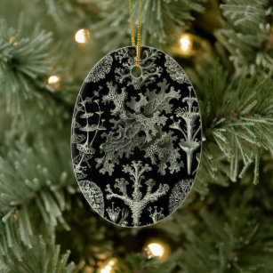 Ornamento De Cerâmica Lichen por Ernst Haeckel, Plantas Naturais Vintage