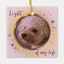 Ornamento De Cerâmica Light of My Life