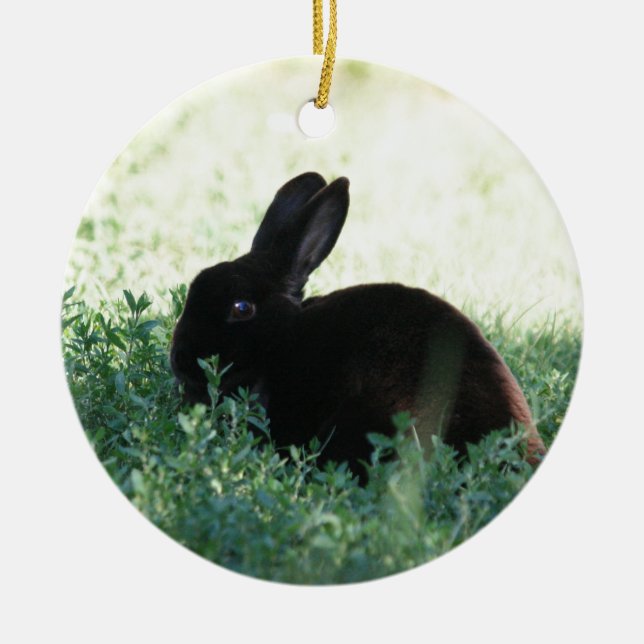 Ornamento De Cerâmica Lil Black Bunny (Frente)