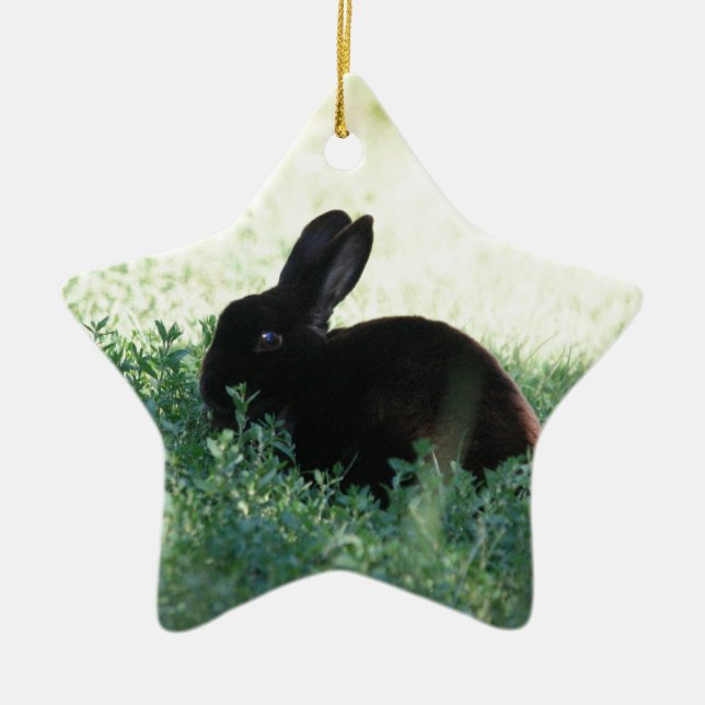 Ornamento De Cerâmica Lil Black Bunny (Frente)