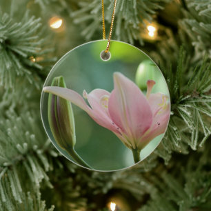Ornamento De Cerâmica Lily-Bokeh rosa por Shirley Taylor