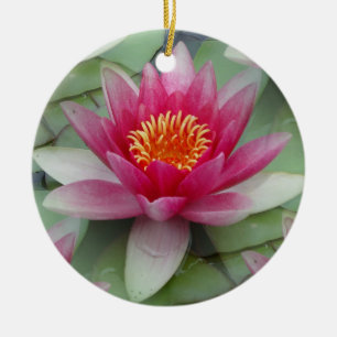 Ornamento De Cerâmica Lily Lily De Água De Lotus Rosa
