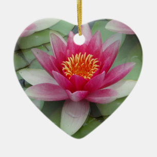 Ornamento De Cerâmica Lily Lily De Água De Lotus Rosa