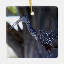 Ornamento De Cerâmica Limpkin, The Crying Bird