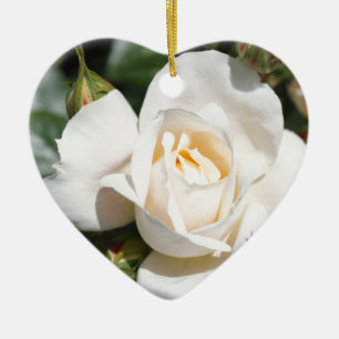 Ornamento De Cerâmica linda flor branca de rosa. amor e romance
