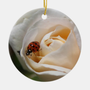 Ornamento De Cerâmica linda flor de rosa branca e joaninha