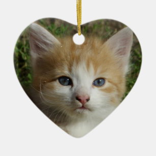 Ornamento De Cerâmica Linda Orange Tabby Kitten
