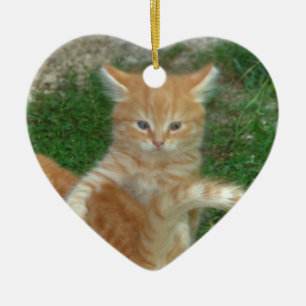 Ornamento De Cerâmica Linda Orange Tabby Kitten