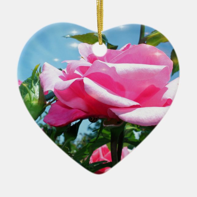 Ornamento De Cerâmica Linda rosa rosa rosa no céu azul. Fotografia flora (Frente)