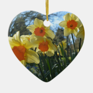 Ornamento De Cerâmica Lindas flores primavera amarelas, daffodilas laran