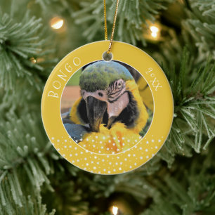 Ornamento De Cerâmica Lindo Ara Pet Papagaio Foto Estrela Amarela Natal