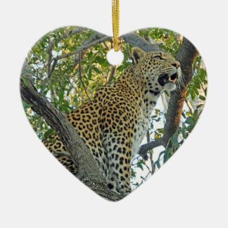 Ornamento De Cerâmica Lindo leopardo em close-up