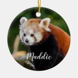 Ornamento De Cerâmica Lindo Panda Vermelho Fire Fox Personalizado