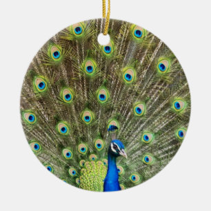 Ornamento De Cerâmica Lindo pássaro pavão
