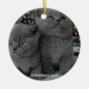 Ornamento De Cerâmica Lindos gatos cinza prateado & Texto Editável