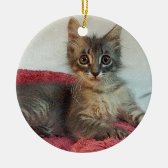 Ornamento De Cerâmica Linus (Frente)