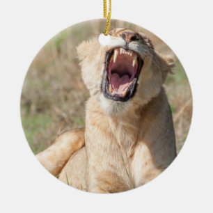 Ornamento De Cerâmica Lionidade de crescimento