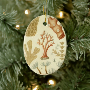 Ornamento De Cerâmica Livro Didático de Ciências Biologia, Animais de Co