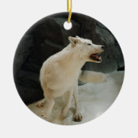 Lobo Branco