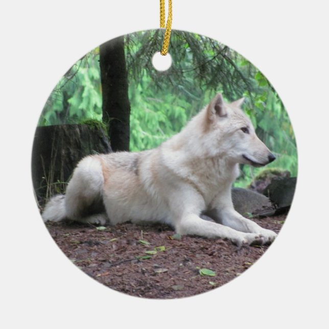 Ornamento De Cerâmica Lobo branco bonito (Frente)