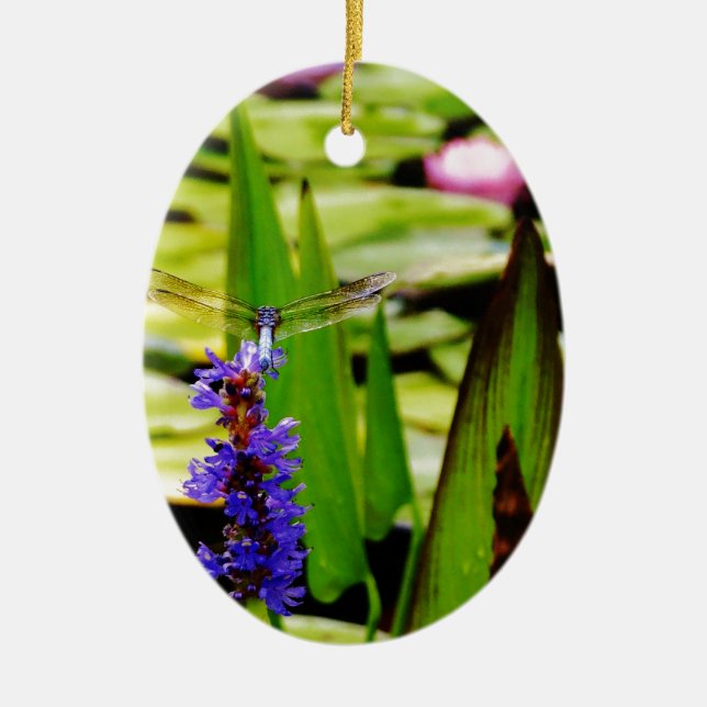 Ornamento De Cerâmica Lótus de Dragfly e flor púrpura (Frente)