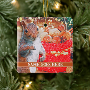 Ornamento De Cerâmica Loucos de Natal Personalizáveis com Esquilo Gelado