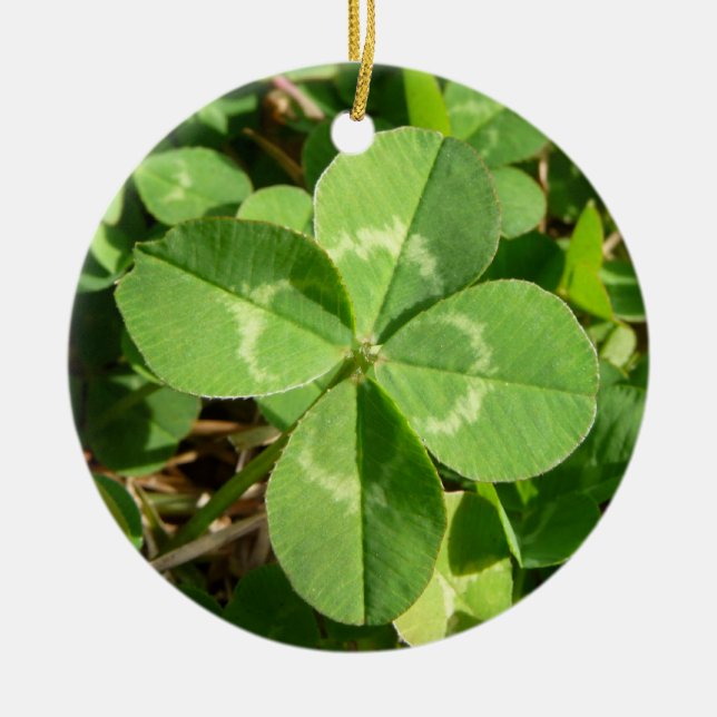 Ornamento De Cerâmica Lucky Four Folha Clover (Frente)