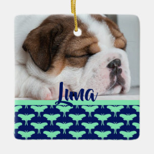 Ornamento De Cerâmica Luna Moth