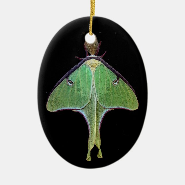 Ornamento De Cerâmica Luna Moth (Frente)