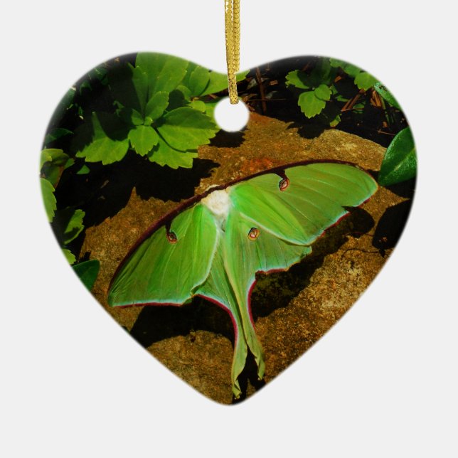 Ornamento De Cerâmica Luna verde-gigante (Frente)