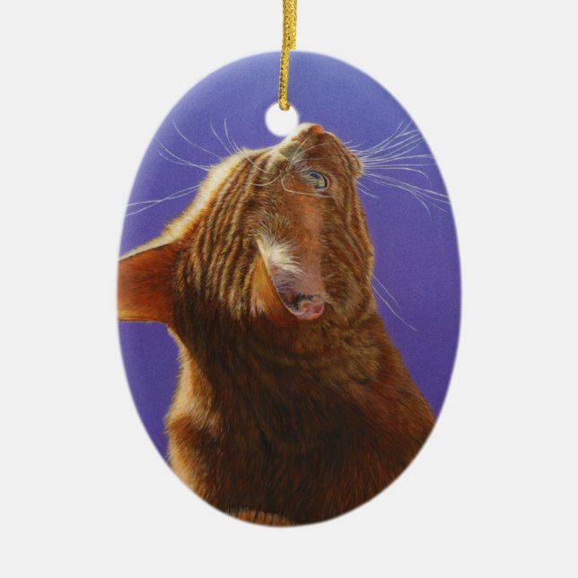 Ornamento De Cerâmica Luz alaranjada #2 do anjo do gato de gato malhado (Frente)