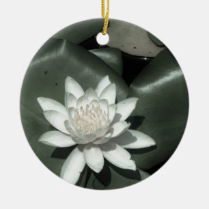 Ornamento De Cerâmica luz branca - flor cor-de-rosa do lírio de água d