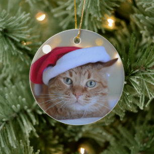 Ornamento De Cerâmica Luzes de gato e natal