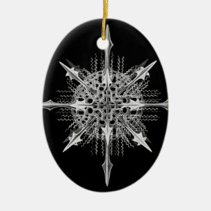 Ornamento De Cerâmica Lychnaspis miranda Ernst Haeckel Belas Artes