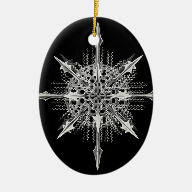 Ornamento De Cerâmica Lychnaspis miranda Ernst Haeckel Belas Artes (Frente)